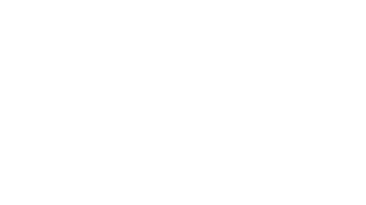 Partner Logo 13