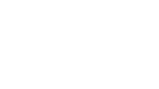 Partner Logo 15