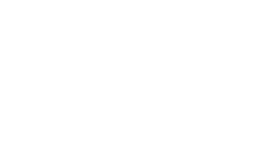 Partner Logo 17