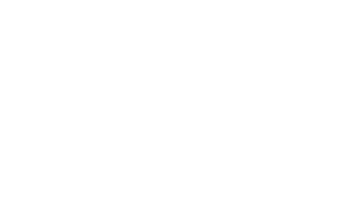 Partner Logo 19