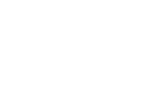 Partner Logo 21