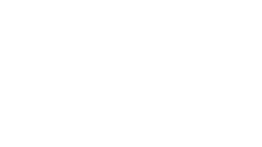 Partner Logo 24