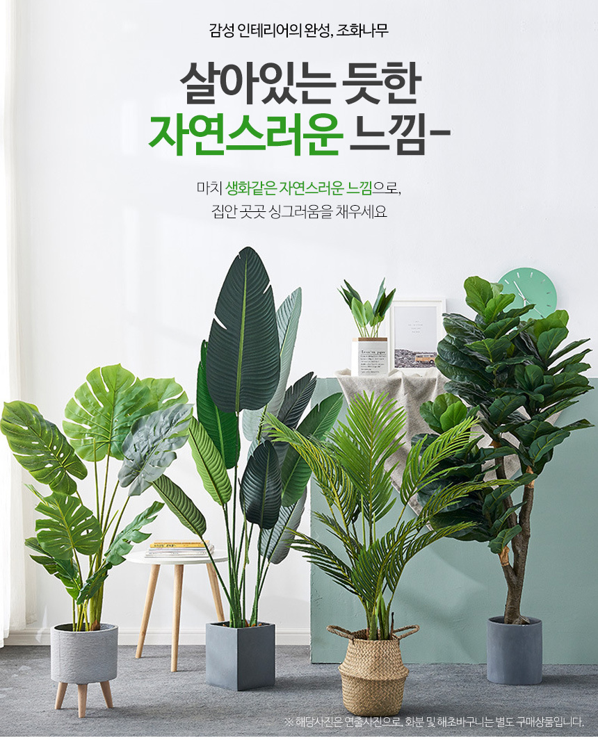 바나나나무 인조나무 조화 나무 200cm 상세 이미지 1