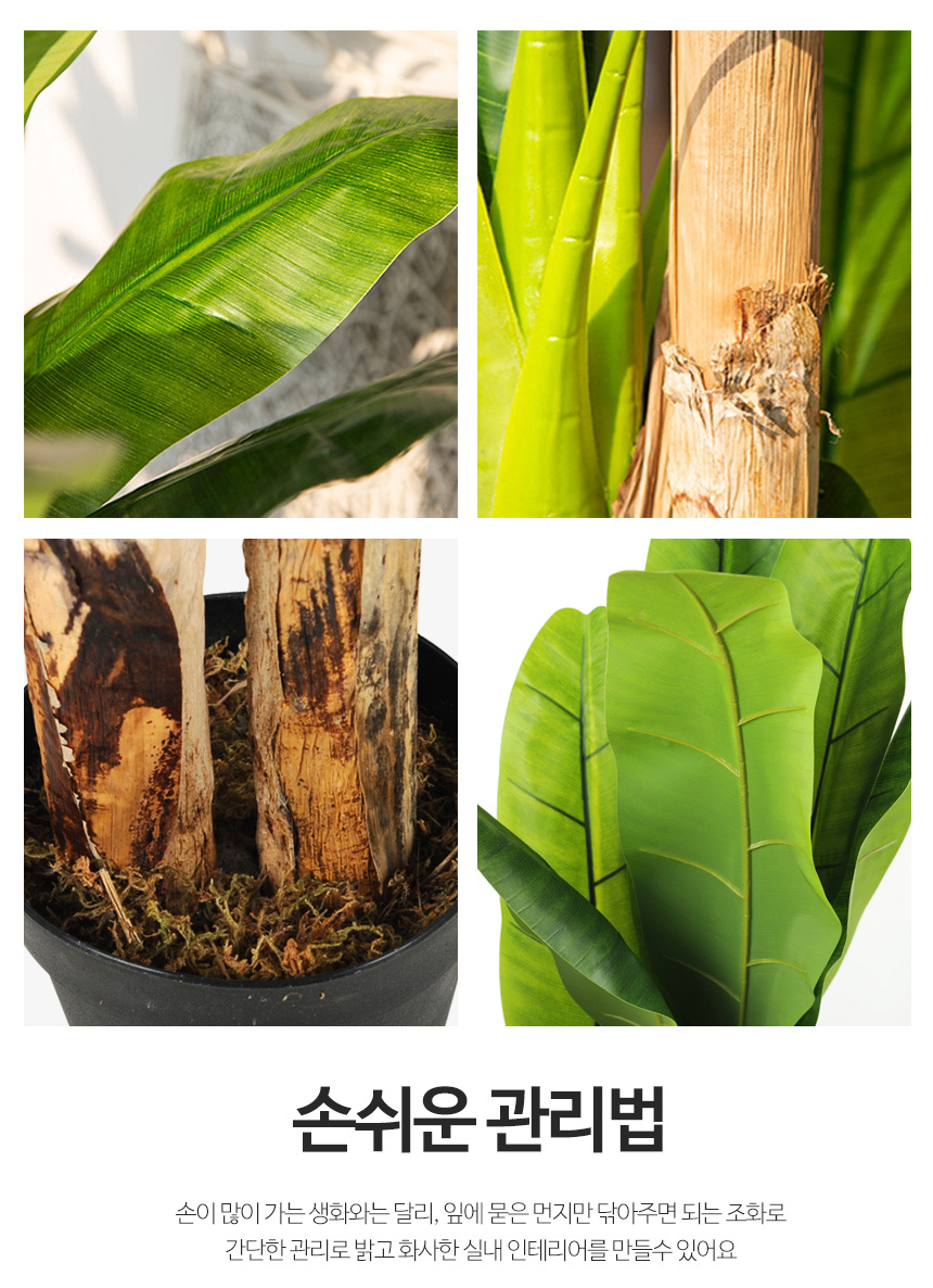 바나나나무 인조나무 조화 나무 200cm 상세 이미지 4