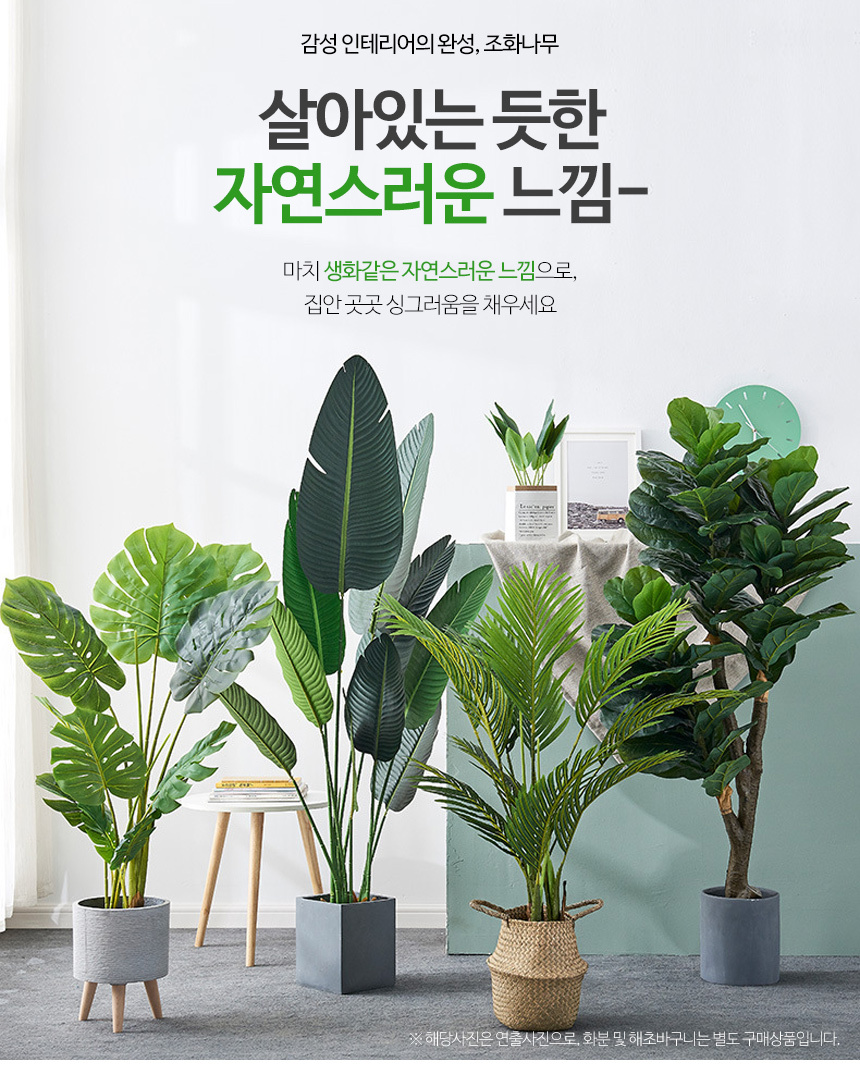 몬스테라 인조나무 조화 나무 80cm 상세 이미지 1