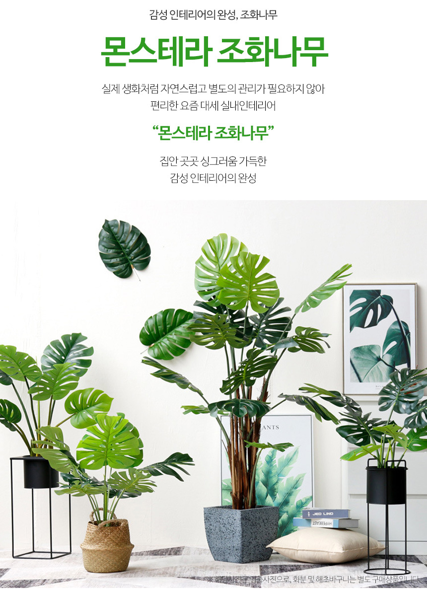 몬스테라 인조나무 조화 나무 80cm 상세 이미지 2