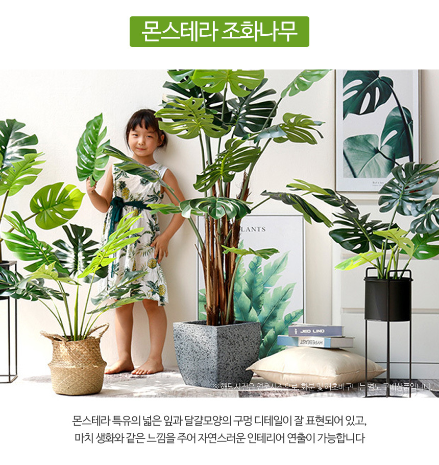 몬스테라 인조나무 조화 나무 80cm 상세 이미지 5