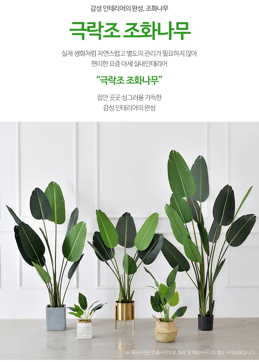 극락조 인조나무 조화 나무 4sizes 상세 이미지 2
