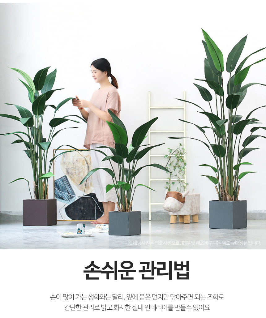 극락조 인조나무 조화 나무 4sizes 상세 이미지 3
