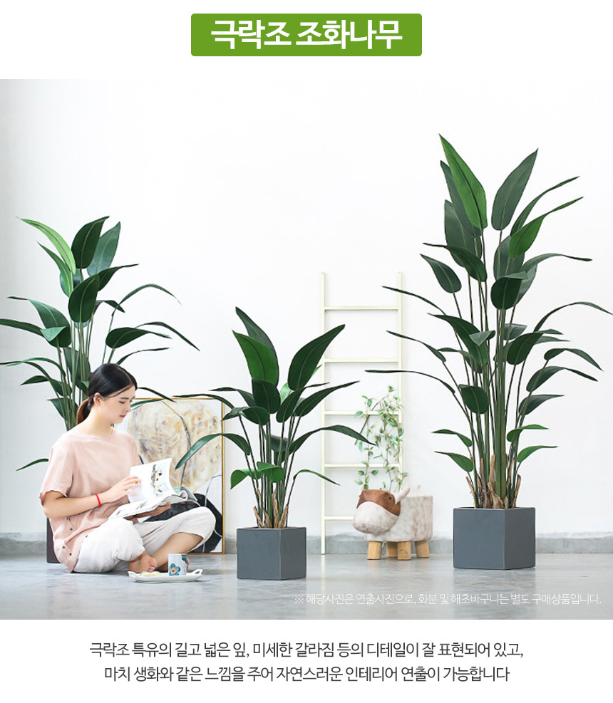 극락조 인조나무 조화 나무 4sizes 상세 이미지 5
