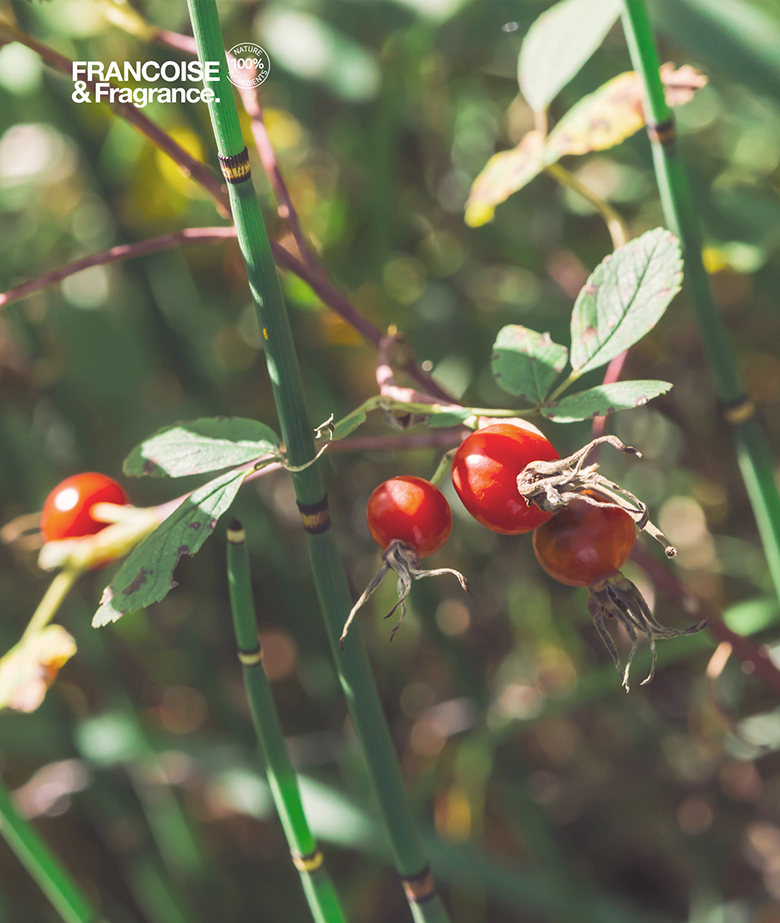 Cosmetic model wearing image-S1L8