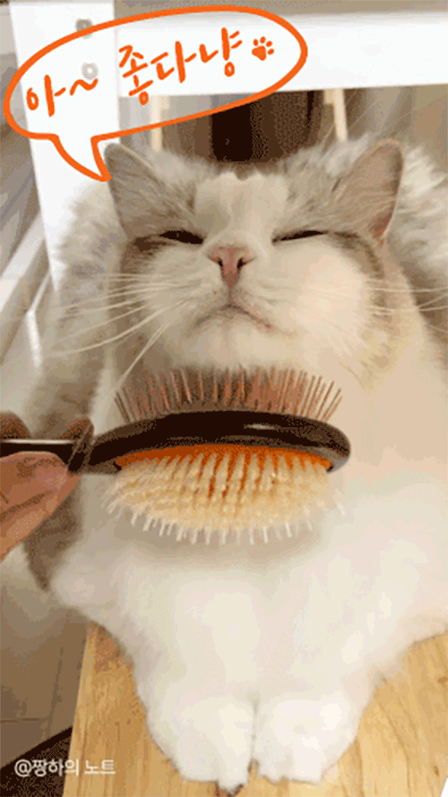 sharr_03.gif