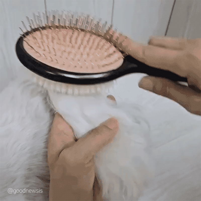 sharr_16.gif