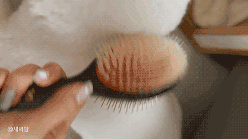 sharr_21.gif
