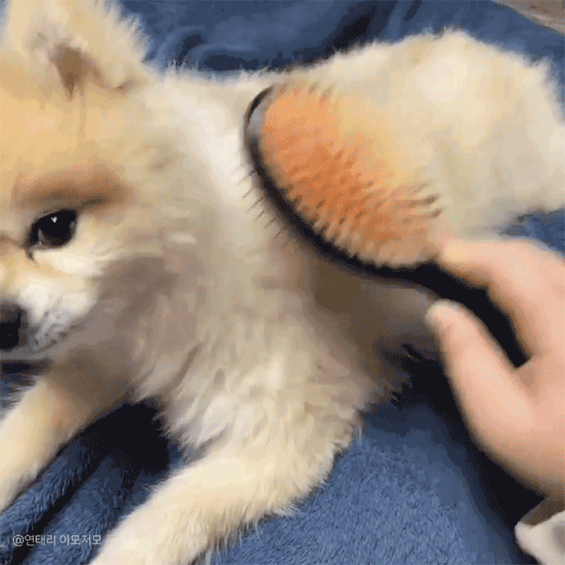 sharr_34.gif