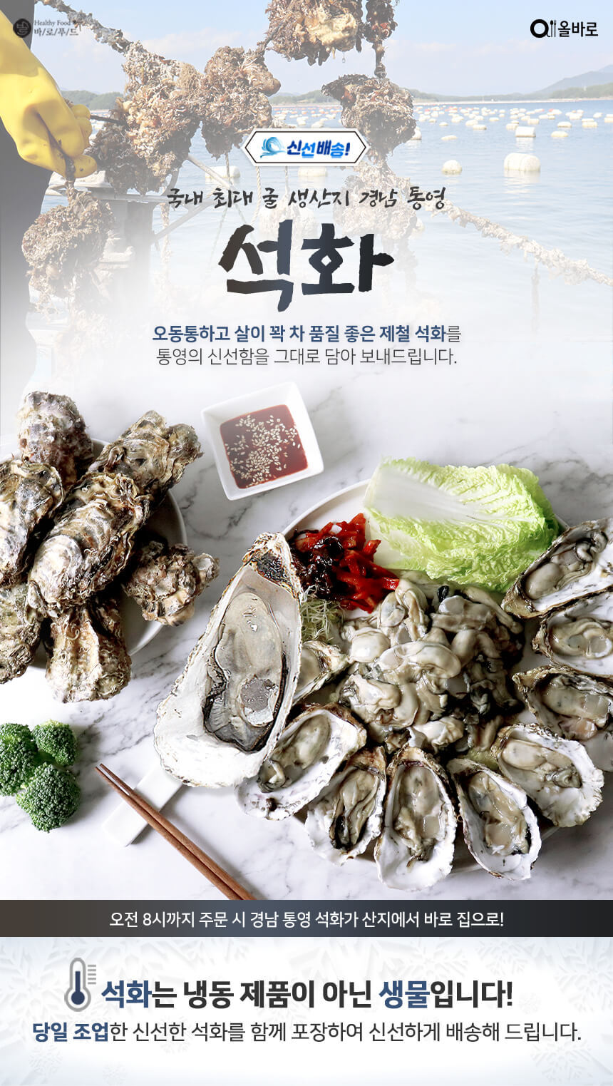 바로푸드 생굴,냉동굴