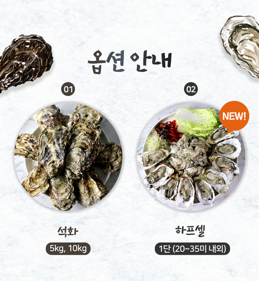 바로푸드 생굴,냉동굴