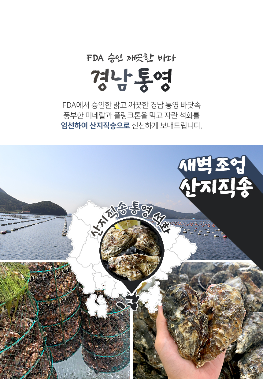 바로푸드 생굴,냉동굴