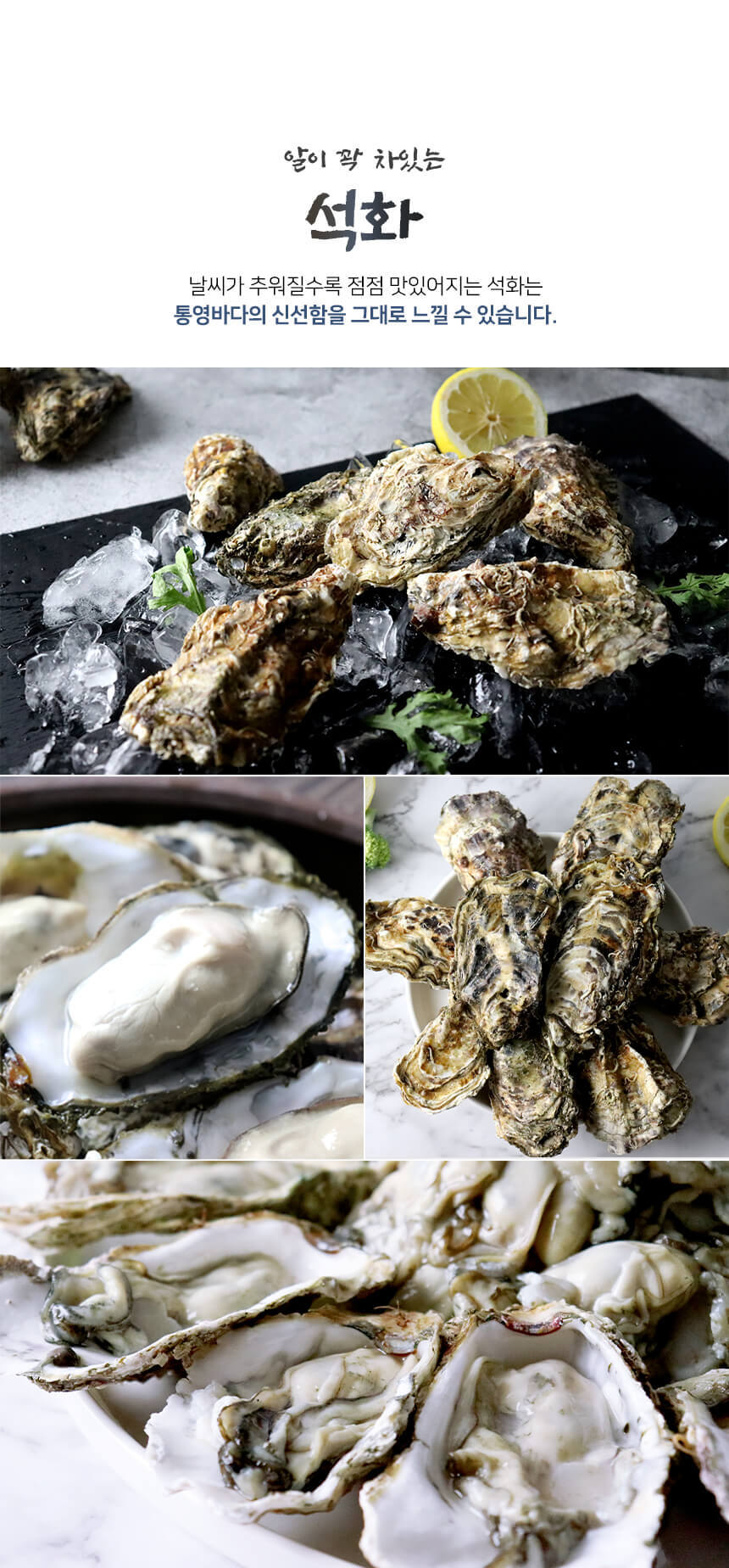 바로푸드 생굴,냉동굴