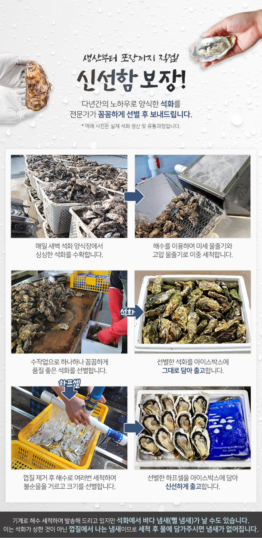 바로푸드 생굴,냉동굴