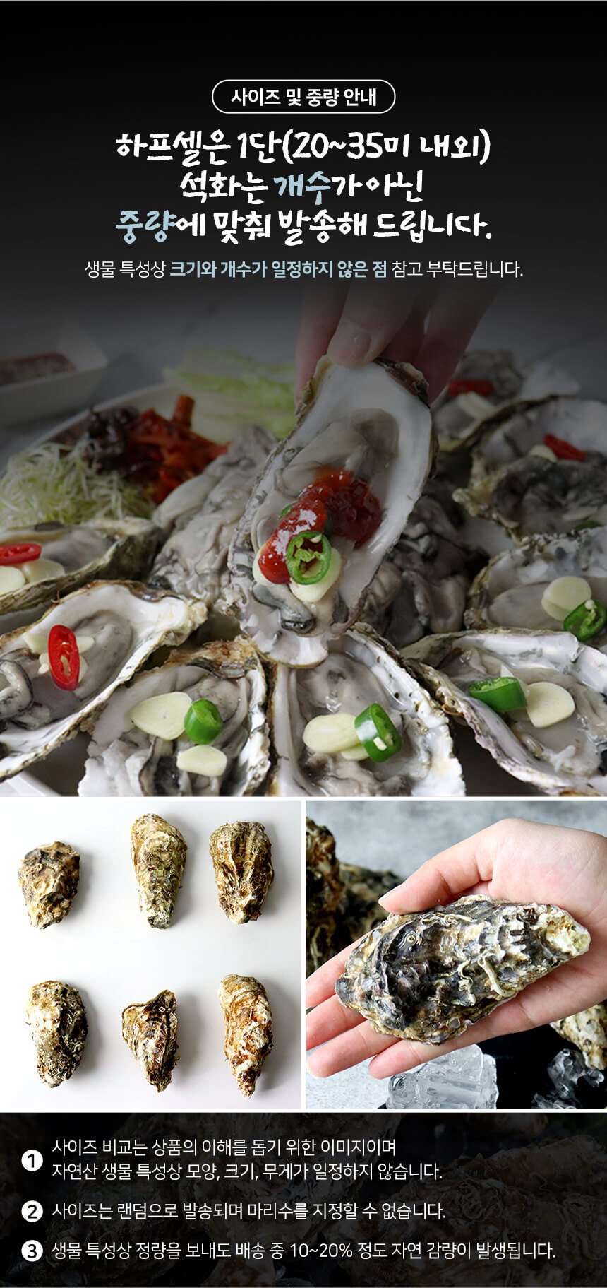 바로푸드 생굴,냉동굴