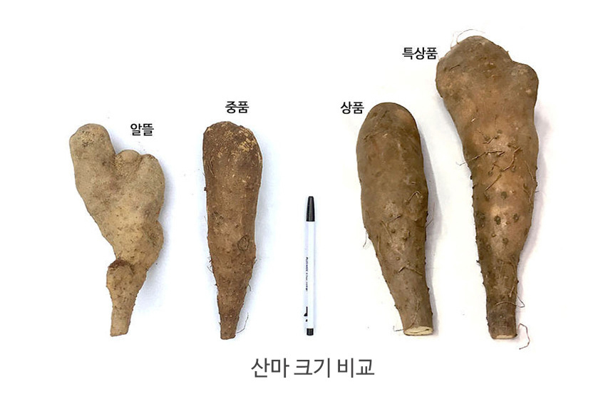 우체국 쇼핑몰