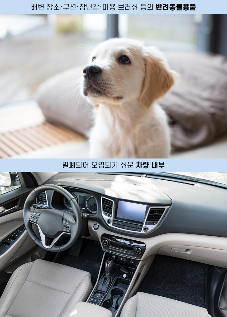 바이오미스트 올인원 에어리셋 탈취제 리필 500ml 상세 이미지 12