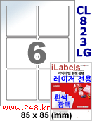 아이라벨 CL823LG (6칸) 흰색  광택 [100매] iLabels