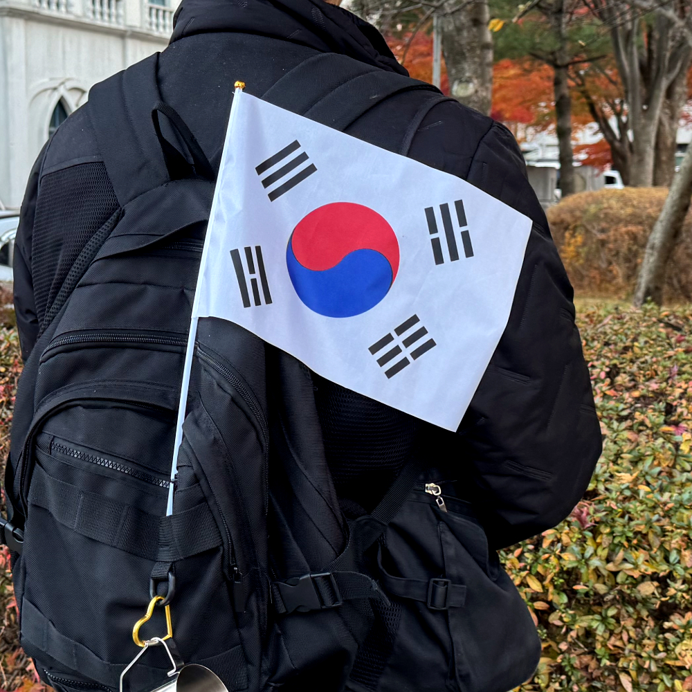 대한민국 응원깃발 손 태극기 소