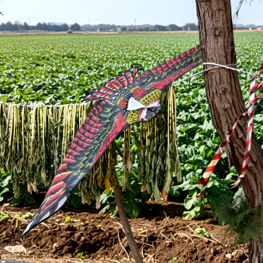연날리기 새쫓는 독수리연 150cm