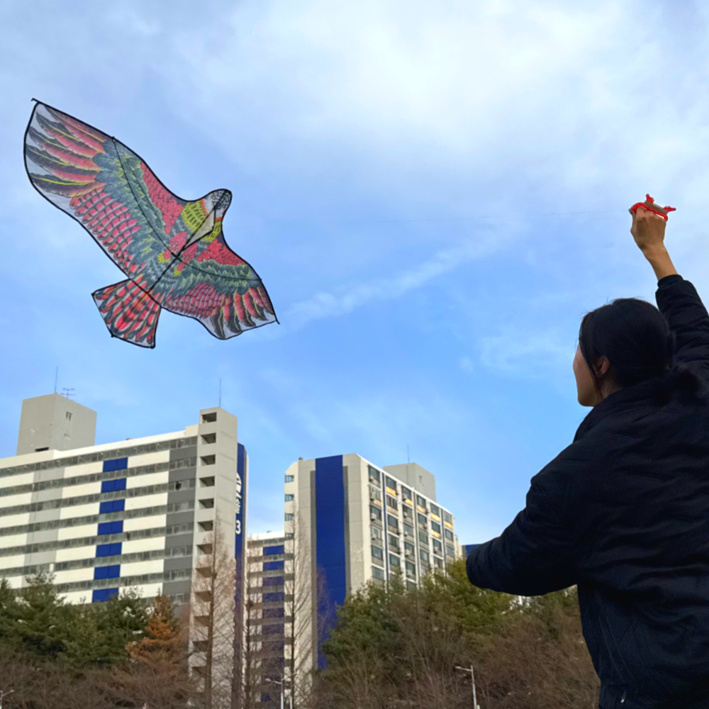 연날리기 새쫓는 독수리연 150cm