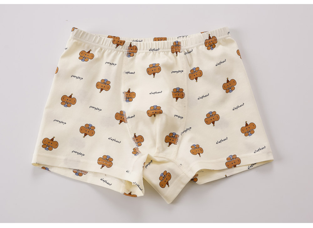 곰끼리남아드로즈팬티