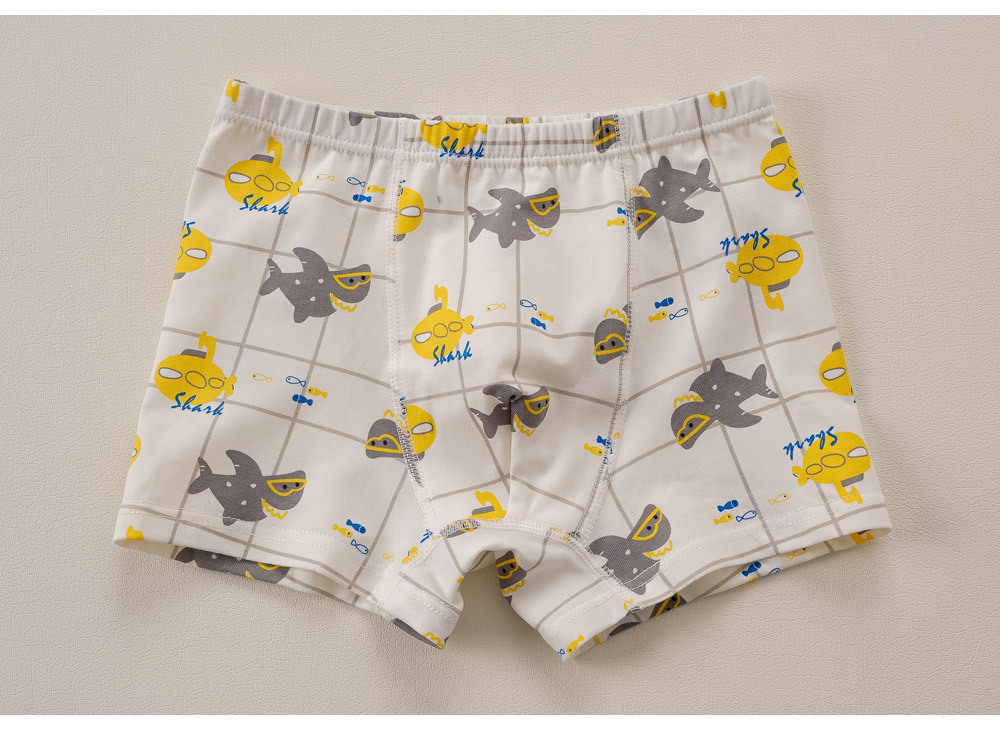 빅월드남아드로즈팬티