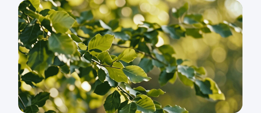 02_HA-NF6000_08.gif
