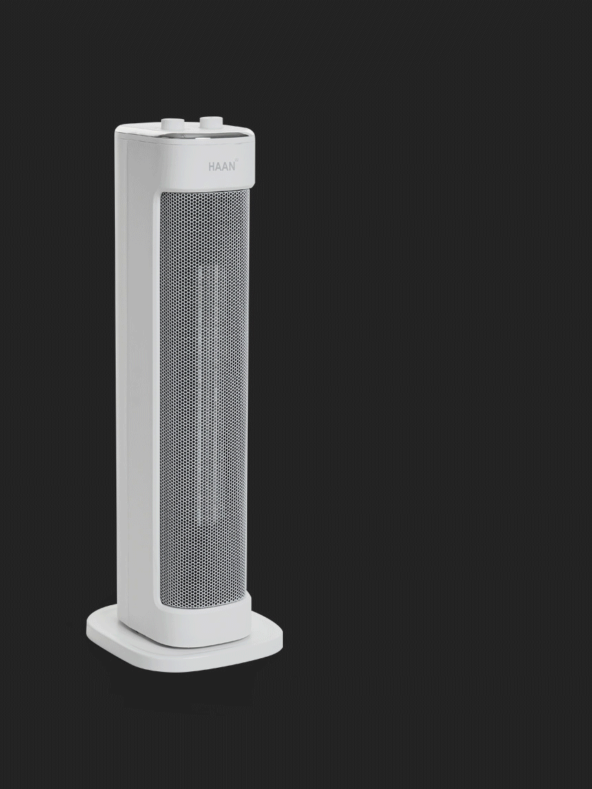 01_haan-p6000m_11-03.gif