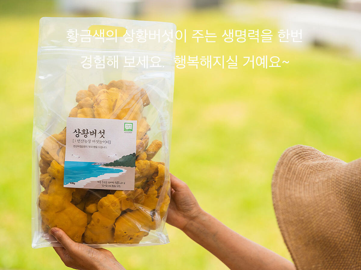 국산 농장직송 참나무 상황버섯 500G 알뜰형 : 롯데On