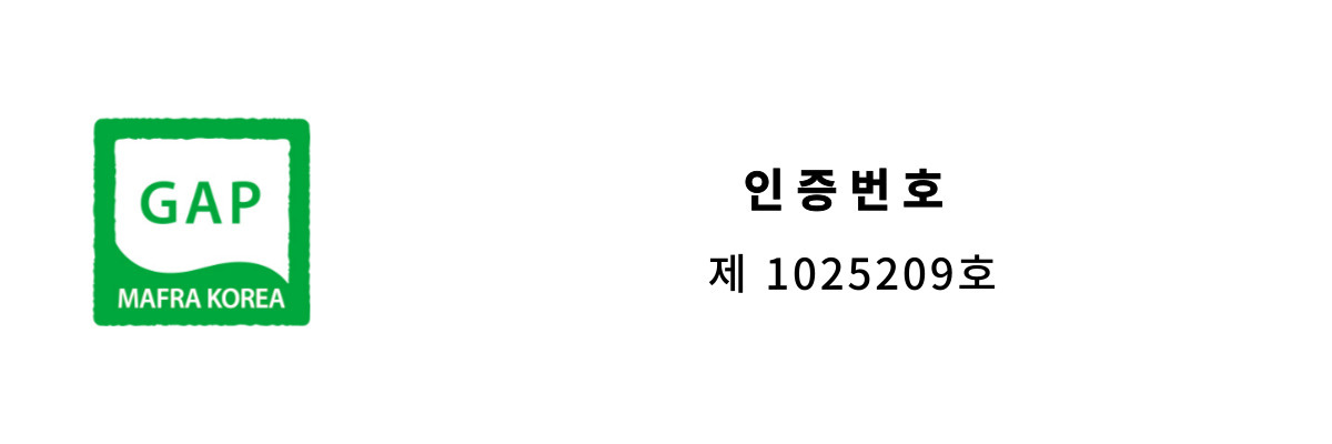 GAP인증 사진