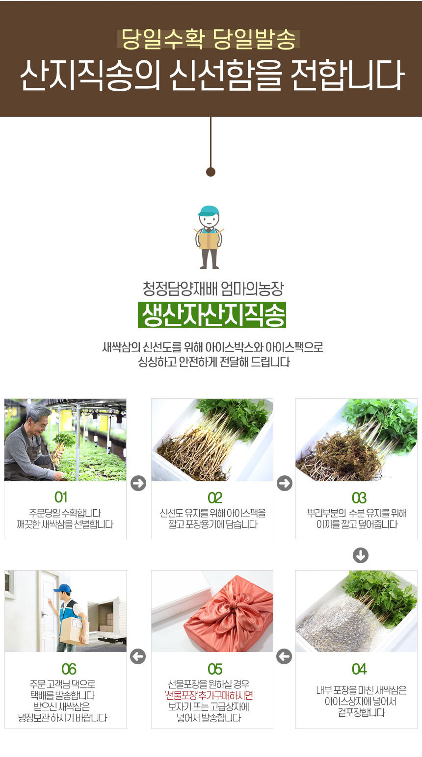 인삼, 새싹삼, 산양삼 재배시 10