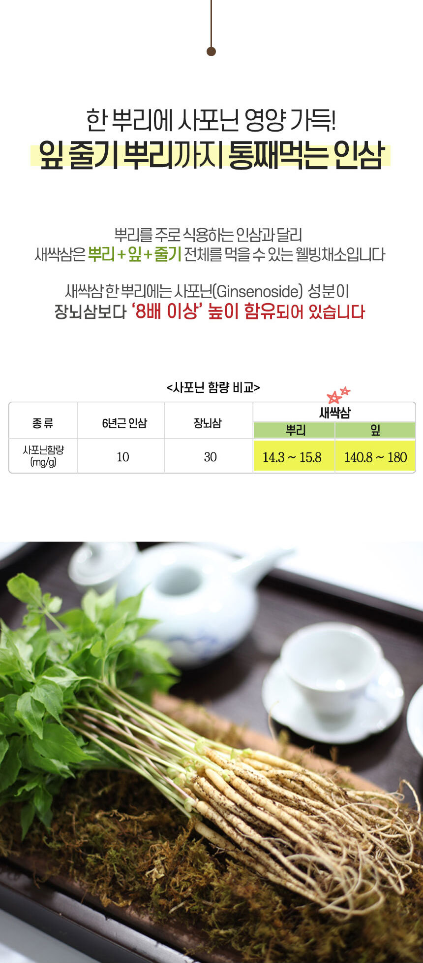 인삼, 새싹삼, 산양삼 재배시 9