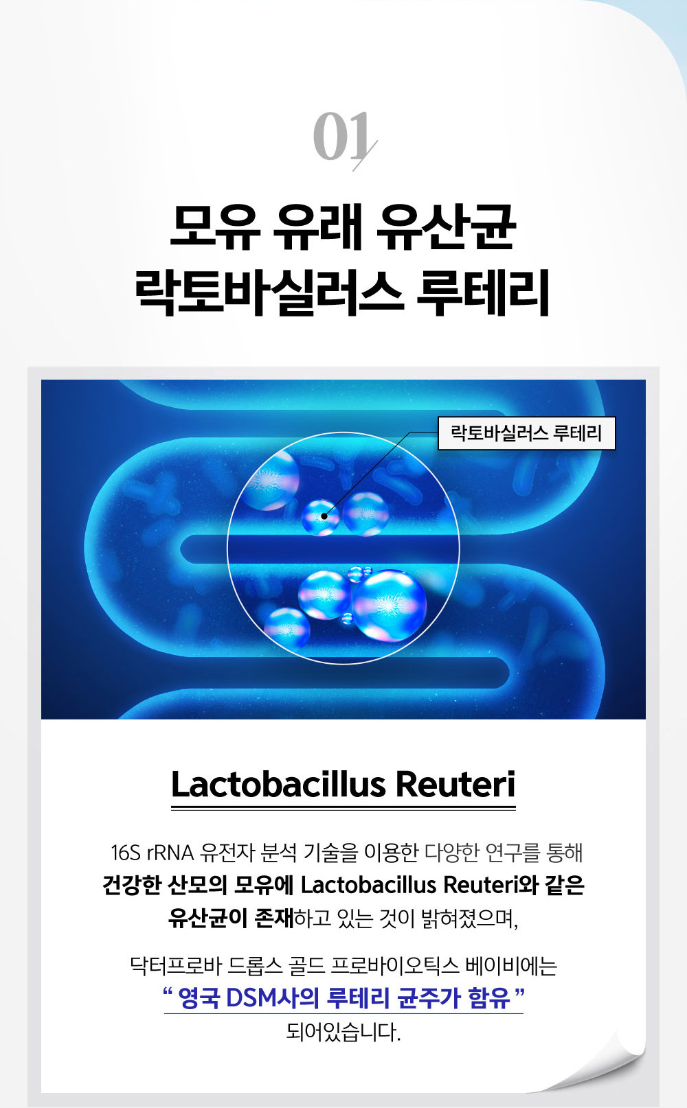  01    ٽǷ ׸ Lactobacillus Reuteri 16S rRNA  м  ̿ پ   ǰ   Lactobacillus Reuten   ϰ ִ  磬 ι ӽ  ι̿ƽ  񿡴   DSM ׸ ְ  Ǿֽϴ.