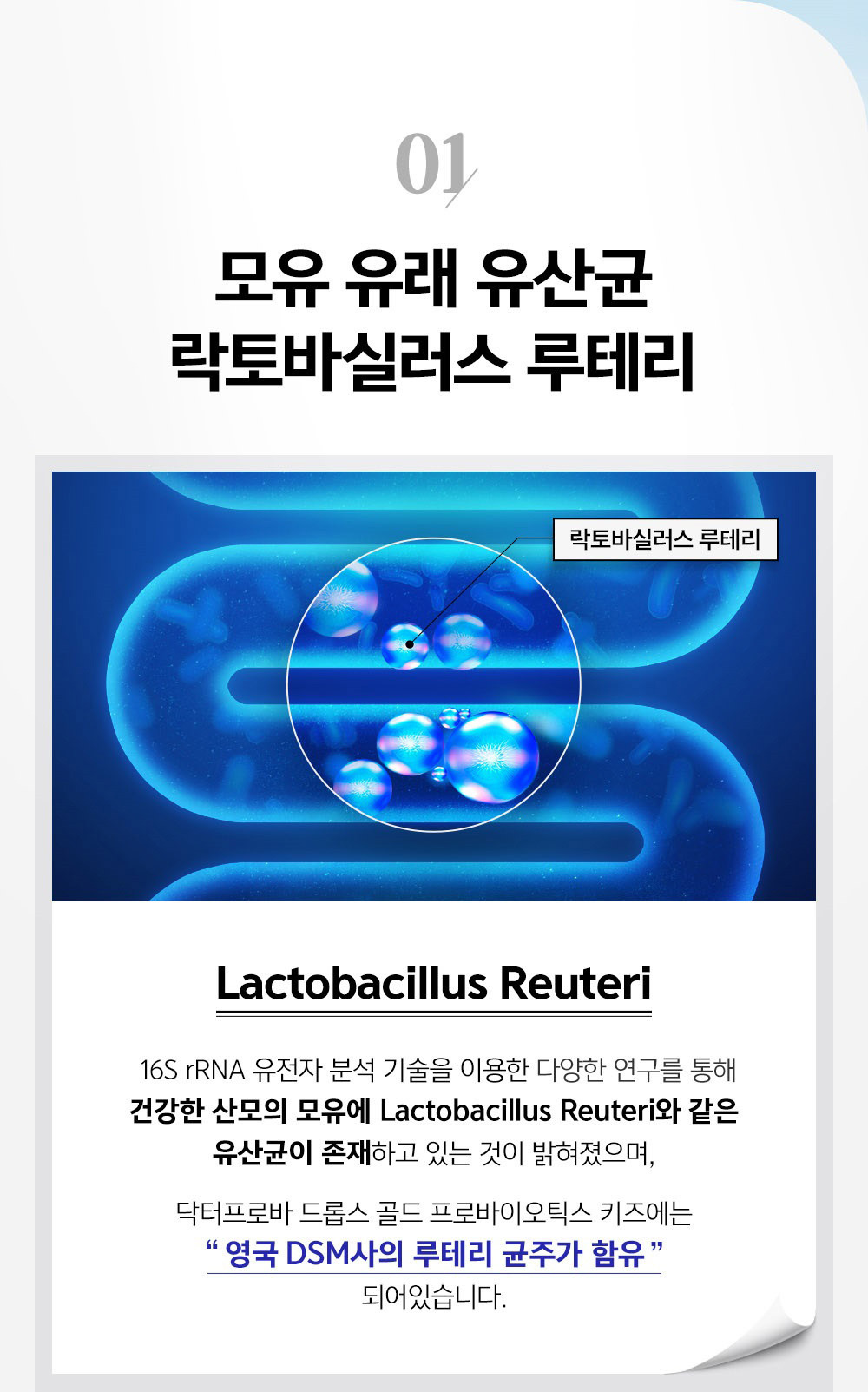 01 Breast milk-derived lactic acid bacteria Lactobacillus Reuteri Through various studies using 16S rRNA gene analysis technology, it was revealed that lactic acid bacteria such as Lactobacillus Reuteri are present in the breast milk of healthy mothers, and Dr. Proba Drops Gold Probiotics Kids is “made by DSM in the UK. Contains reuteri strains.”