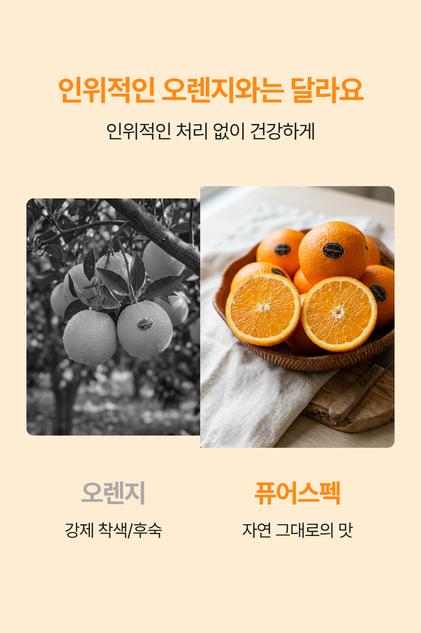 page_3.png