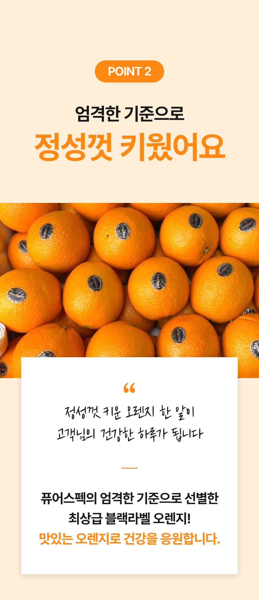 page_7.png
