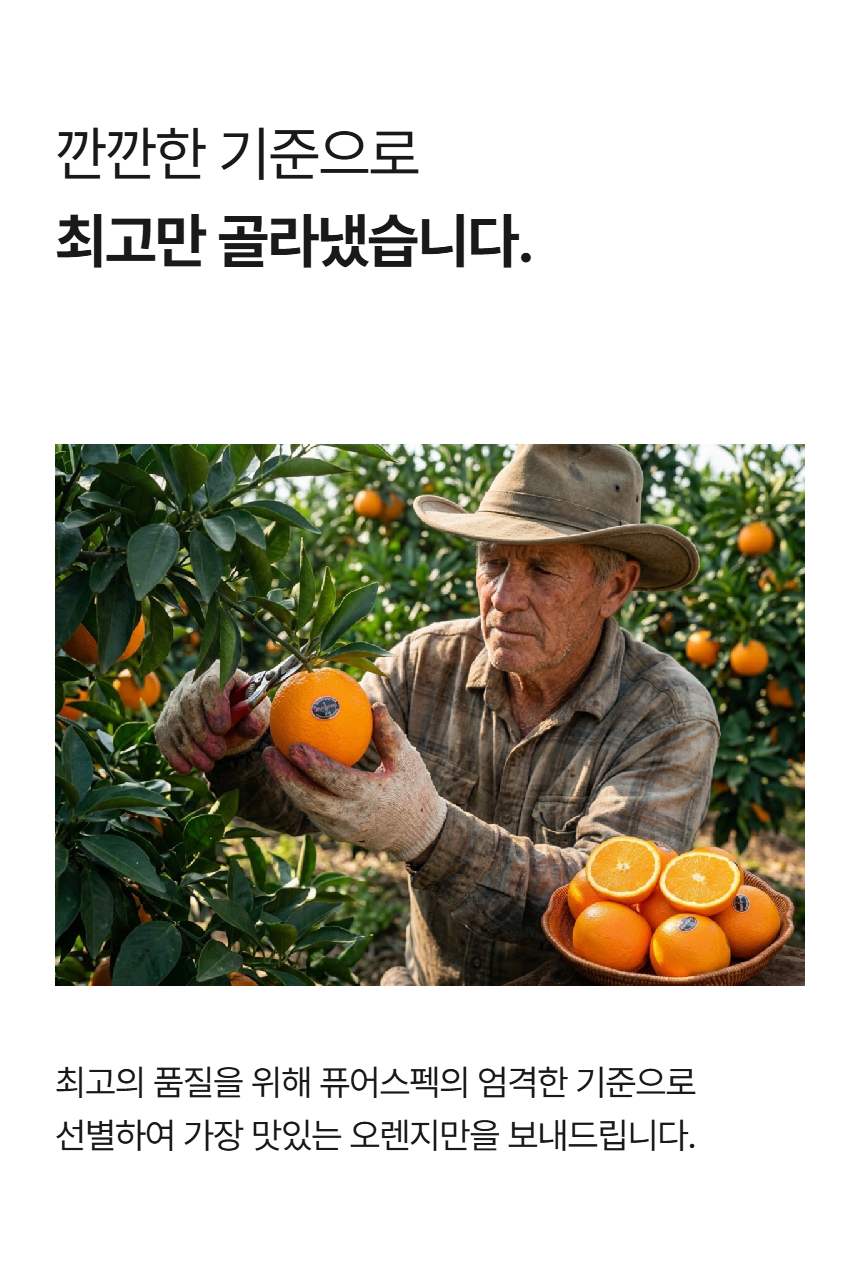 page_8.png