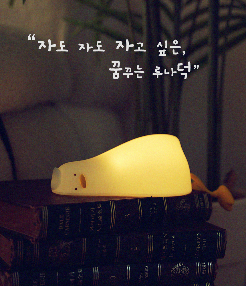 상세페이지
