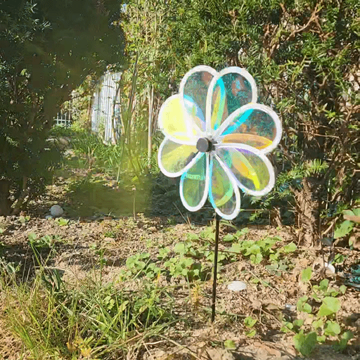 KakaoTalk_20250322_151003579.gif