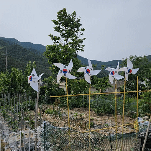 KakaoTalk_20250523_110316276.gif