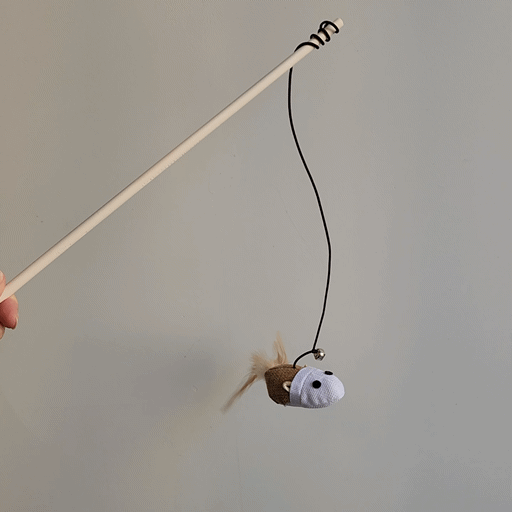 KakaoTalk_20250710_201536425.gif