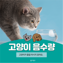 블로그