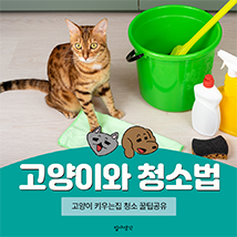 블로그